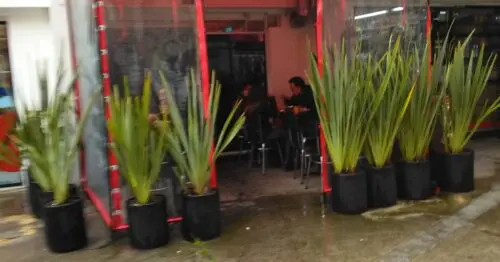 SALSAMENTARIA SHADDAY BOGOTÁ SALSAMENTARIA SHADDAY BOGOTÁ